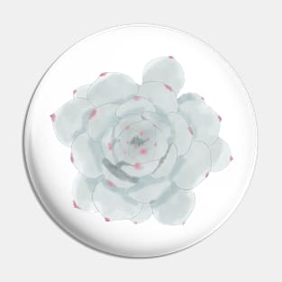 Echeveria Watercolor Pin