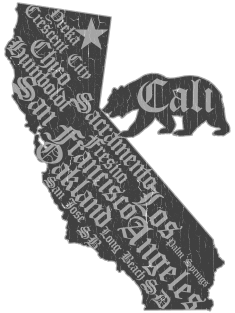 California Bear State Map (vintage distressed look) Magnet