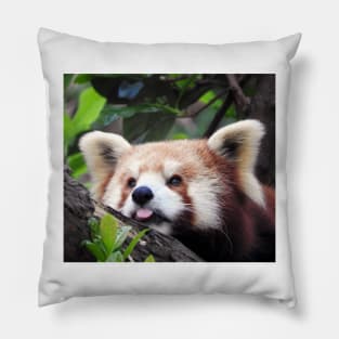 Red Panda Pillow