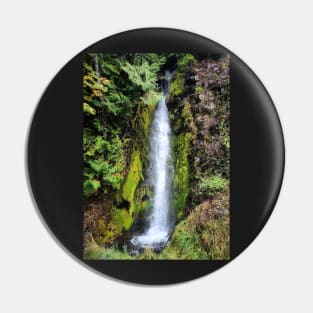 Lake Cushman Waterfall Pin