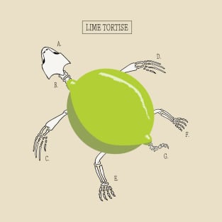 Lime Tortoise / Tortuga de Lima T-Shirt