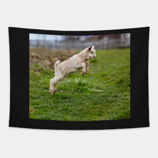 Baby goat jumping Tapestry