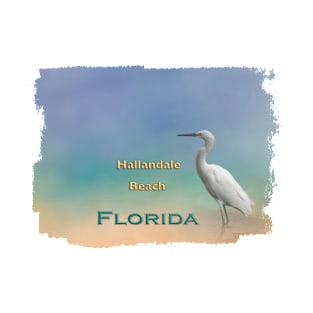 Egret Hallandale Beach FL T-Shirt