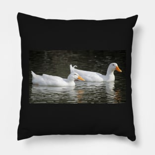 Pekin Duck, South Astralia Pillow