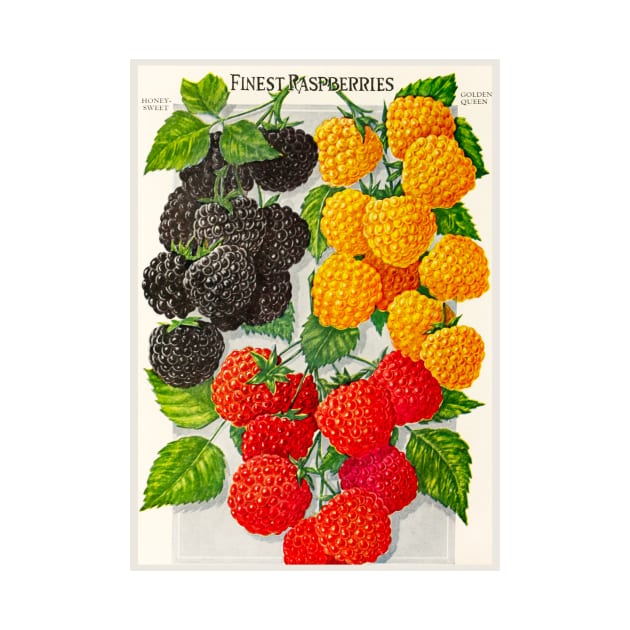 Finest Raspberries Ad by WAITE-SMITH VINTAGE ART