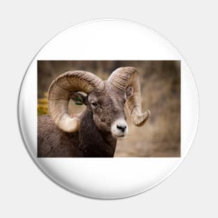 Bighorn Sheep Pin