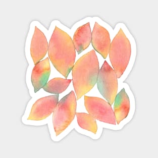 【Pattern】Sedum nussbaumerianum-Collage Magnet