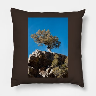 Cliff Hanger Pillow