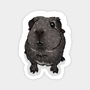 Silver Agouti Guinea Pig Magnet