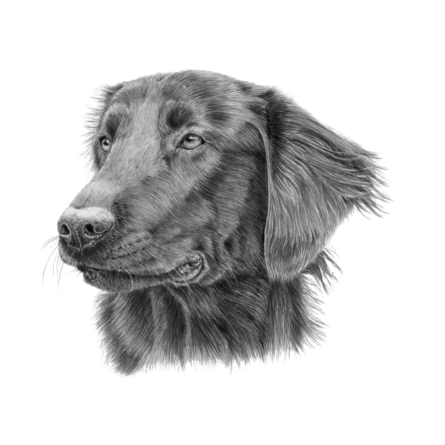 Flatcoated retriever - sh by doggyshop