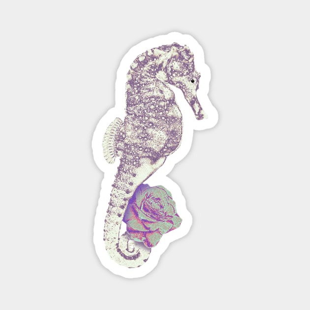 seahorse Magnet by abdoos