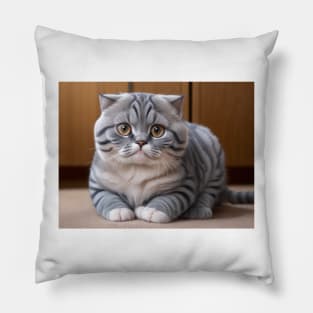 Scottish Fold cat Pillow