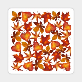 Autumn leaves Magnet