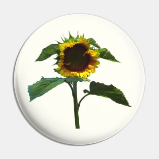 Sunflower With Frilly Edge Pin