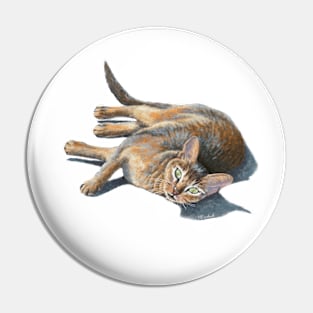 Abyssinian cat lying Pin