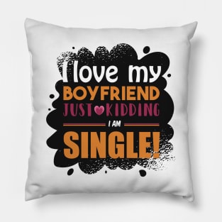 funny Single Shirt Pillow