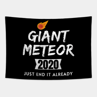 Giant Meteor 2020, Just End It Already, 2020 Election for The American President Funny Tapestry