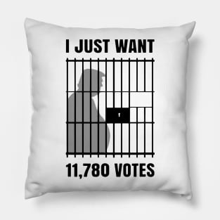 I Just Want to Find 11,780 Votes Trump for Prison Pillow