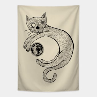 The Universe is a Cat Tapestry