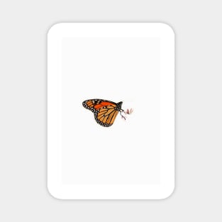 Monarch Butterfly Magnet