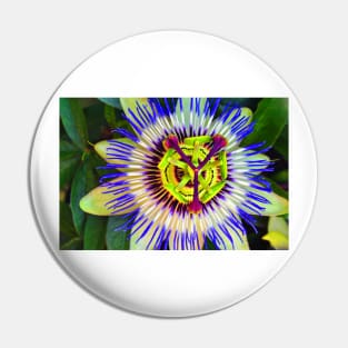 Passion Flower Summer Flowering Plant Pin