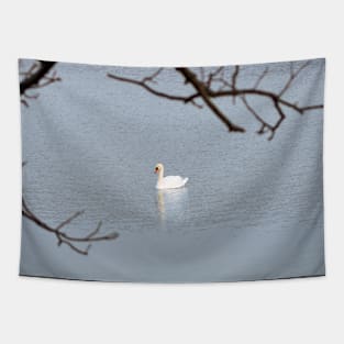 Mute Swan In The Distance Tapestry