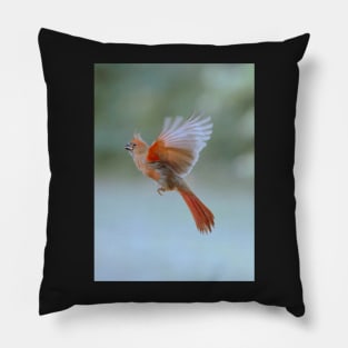 Cardinal in flight Pillow