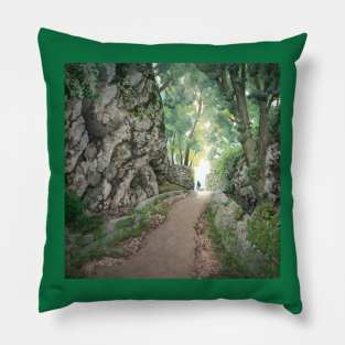 Mountain path Pillow