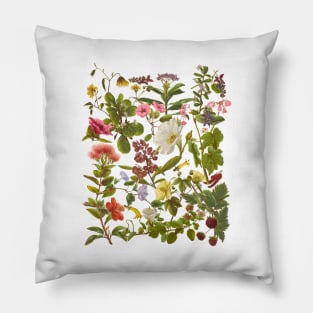 Native Hawaiian Flowers Botanical Design Pillow