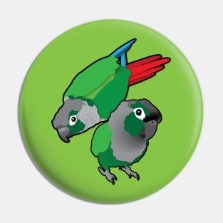 Green Cheek Conure Pair of Parrots Pin