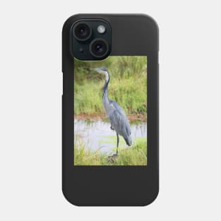 Blue or Black-headed Heron, Kenya Phone Case