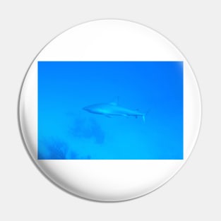 Caribbean Reef Shark Pin