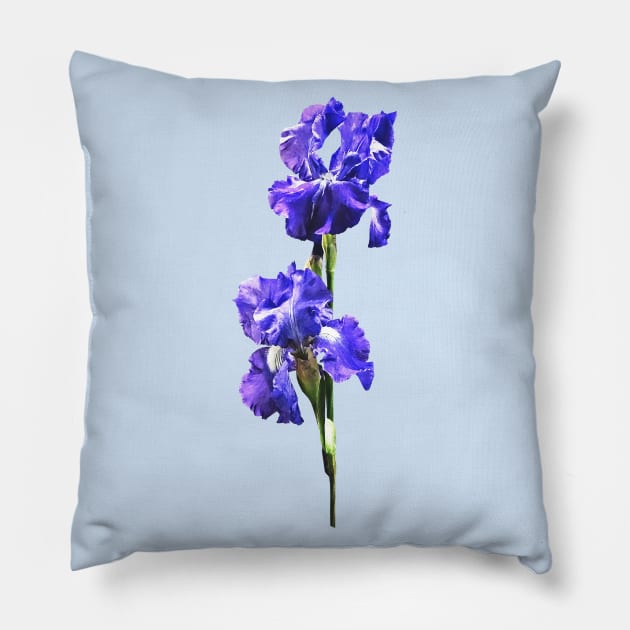 Iris - Purple Iris Pair Pillow by SusanSavad