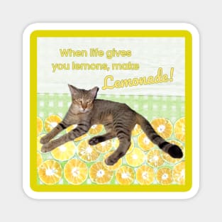 Cat with Funny Quote When Life Gives You Lemons, Make Lemonade Magnet