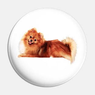 Precious Pomeranian Pin