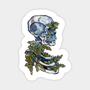 Woolly Lipped Fern Rib Cage and Skull Magnet