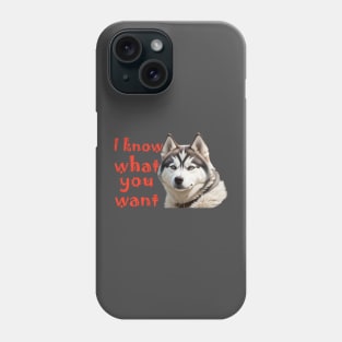 i know what you want poster Phone Case