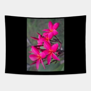 plumeria-flowers-frangipani-floral-blossom-purple-shirtyshirto-23 Tapestry