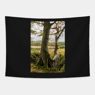 Autumn Tree Landscape Scene Tapestry