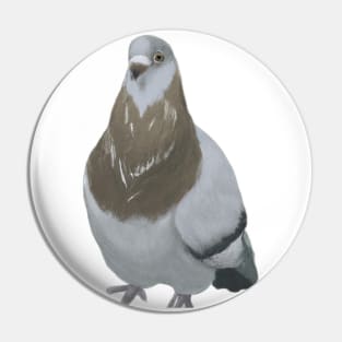 Cute Pigeon Drawing Pin