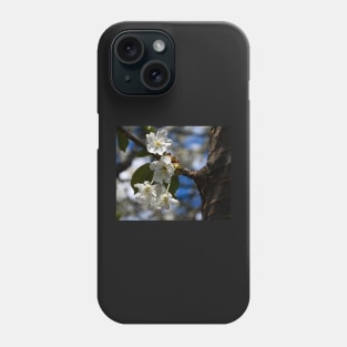 Springtime cherry blossoms Phone Case