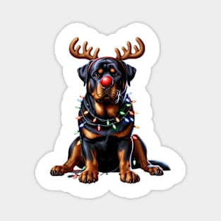 Christmas Red Nose Rottweiler Dog Magnet