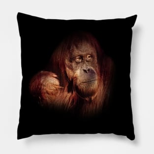 Orangutan Pillow