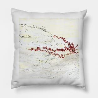 Fundoscopic beach Pillow