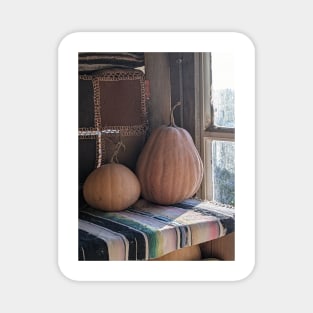 "Larder" garden pumpkins in a Greek treehouse Magnet