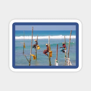 Stilt fishing, Weligama, Sri Lanka Magnet