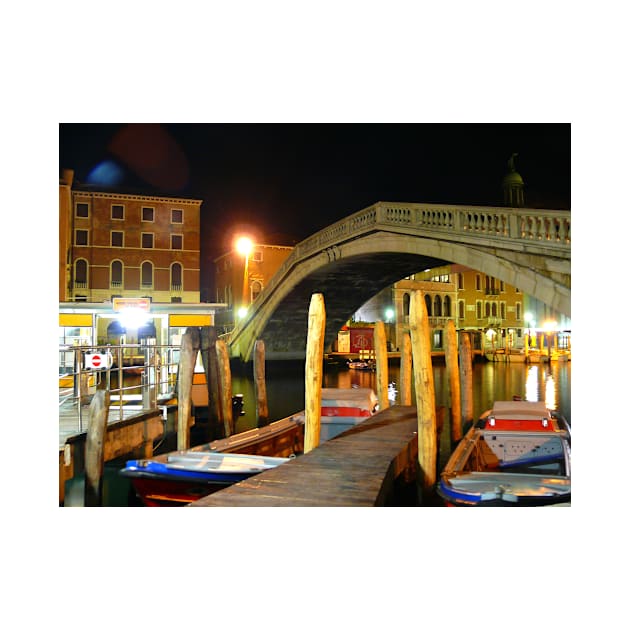 Venice  bridge by terezadelpilar