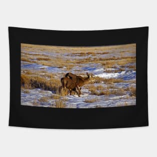 Mule Deer - Bryce Canyon USA Tapestry