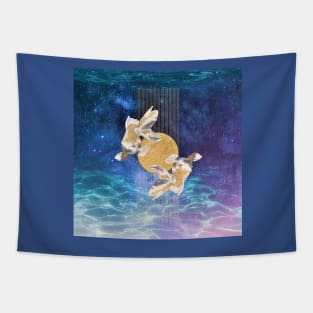 Celestial Pisces Tapestry