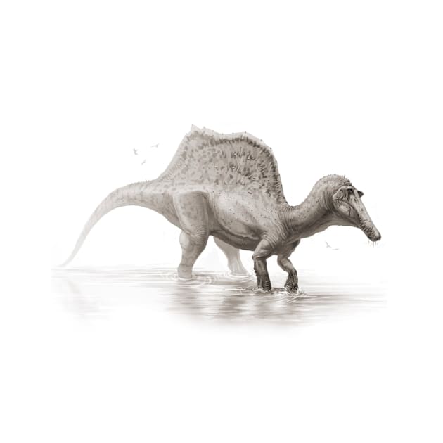 Spinosaurus by MALvit